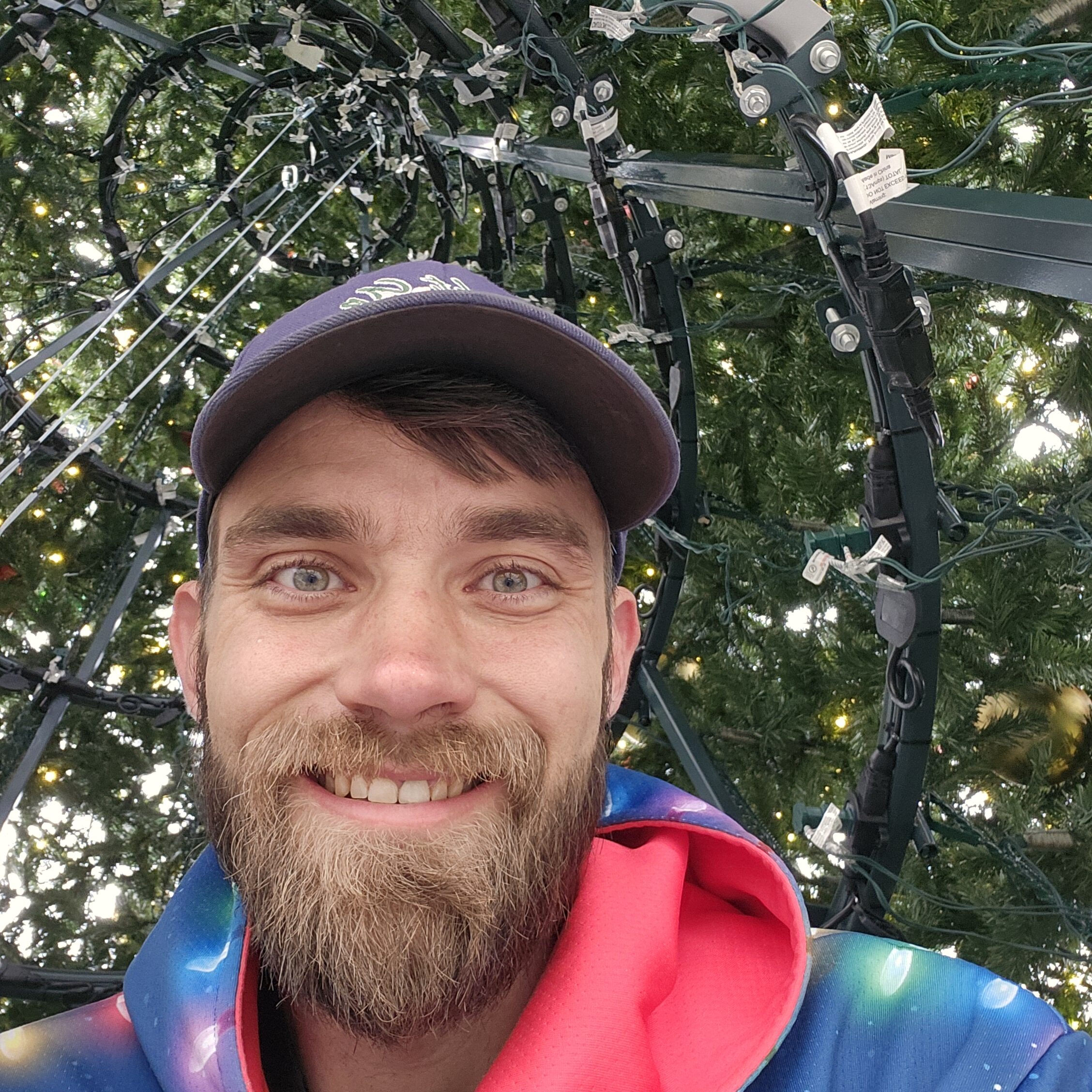 Zach Everett inside an illuminated tree — the Light Up Lima Look