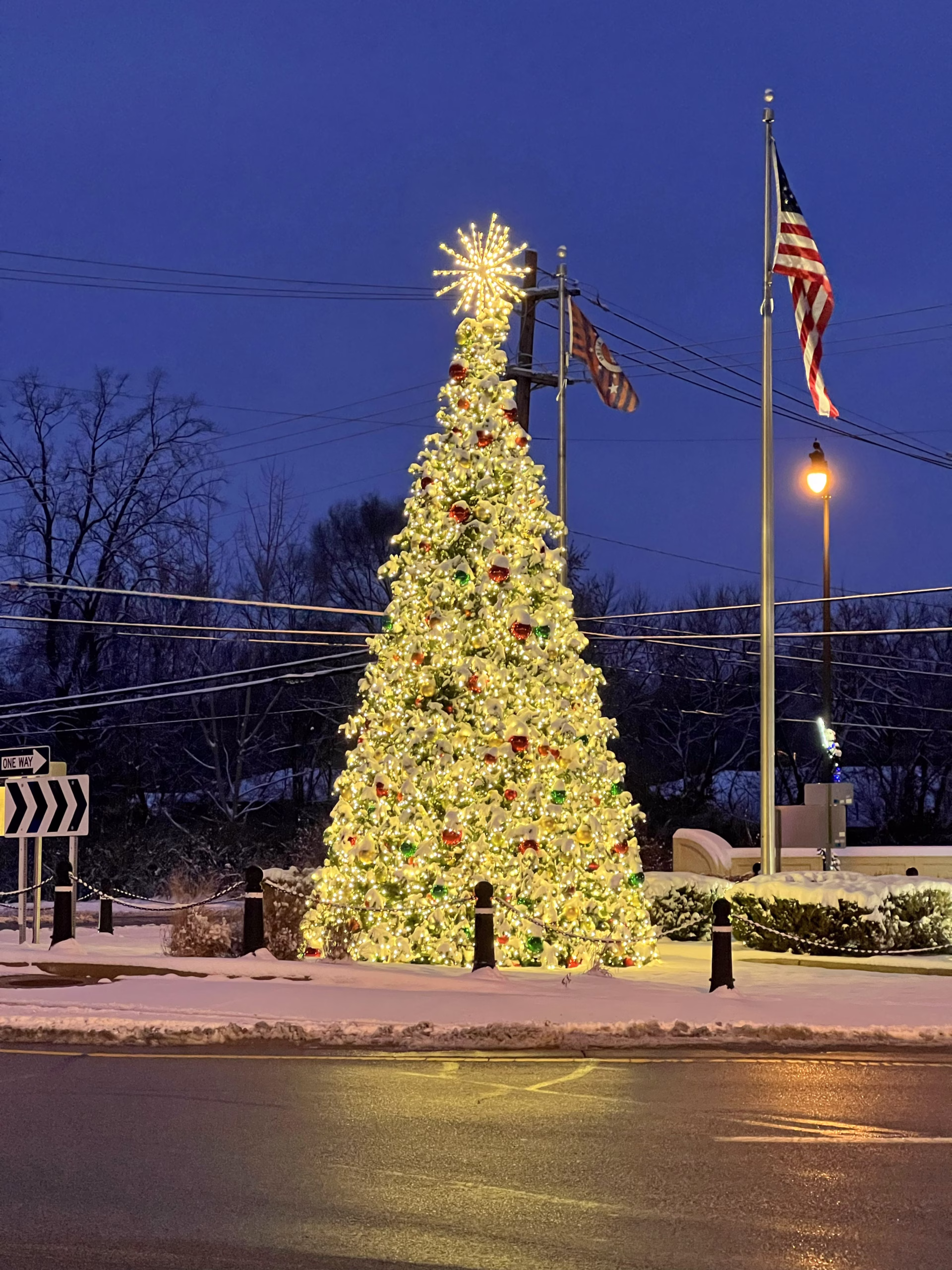 Outdoor lighting installation in Perrysburg Ohio