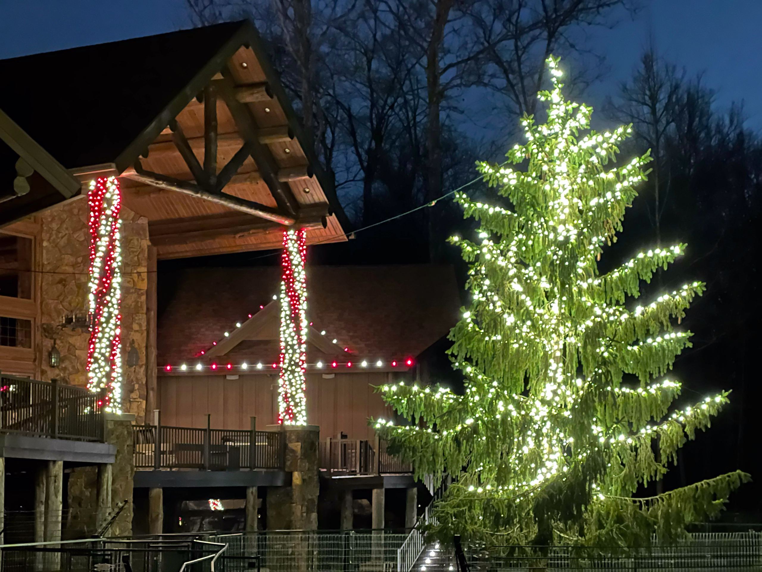 Professional Christmas light installation in Lima Ohio by Light Up Lima